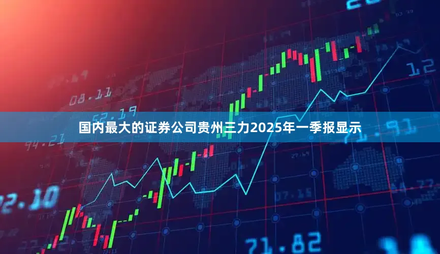 国内最大的证券公司贵州三力2025年一季报显示