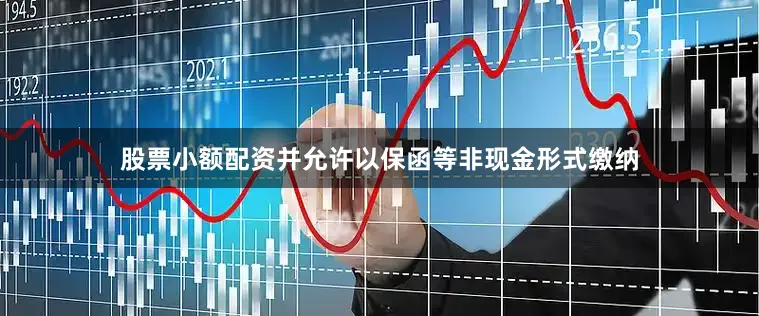 股票小额配资并允许以保函等非现金形式缴纳